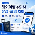 해외여행 eSIM과 유심 로밍 차이 비교